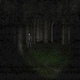 Image for article titled Slender: The Eight Pages: Short, Crude, And One Of The Scariest Games Of The Year